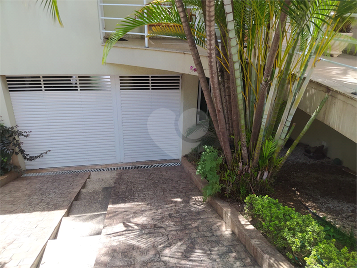 Foto REO602738