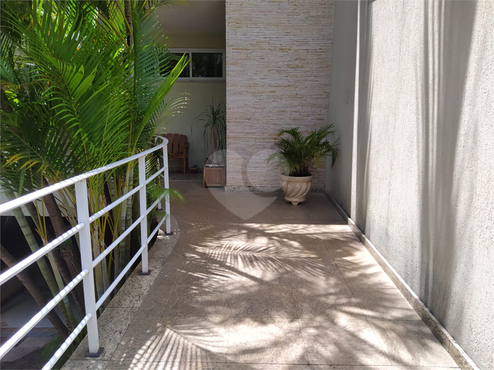Foto REO602738