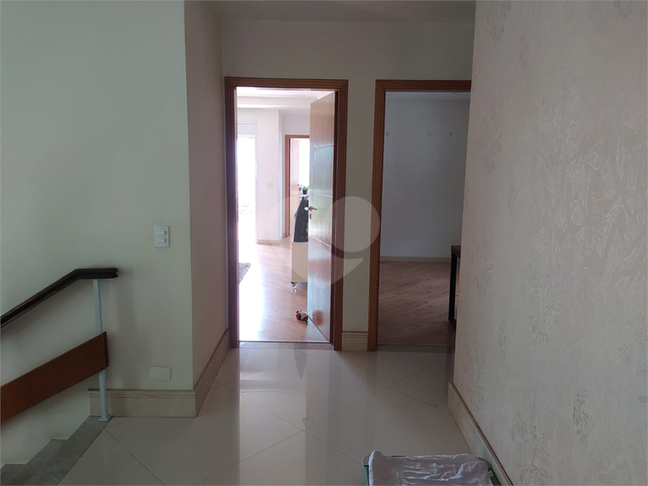 Foto REO602738