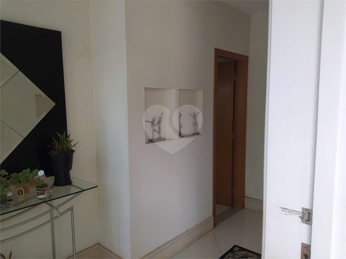 Foto REO602738