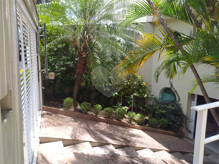 Foto REO602738