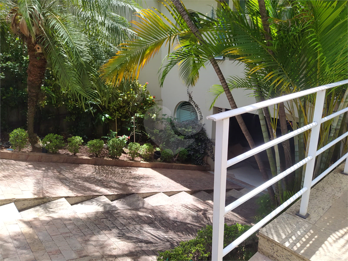 Foto REO602738