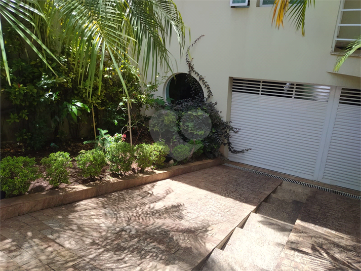 Foto REO602738