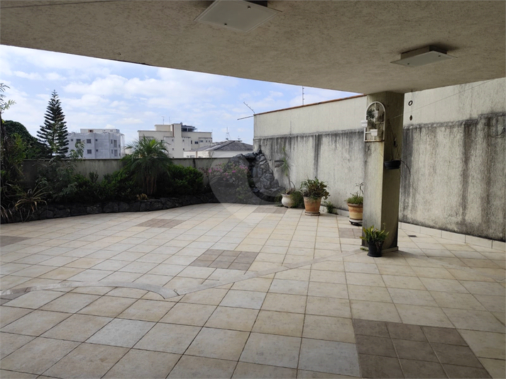 Foto REO602738