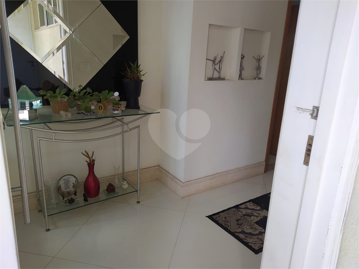Foto REO602738