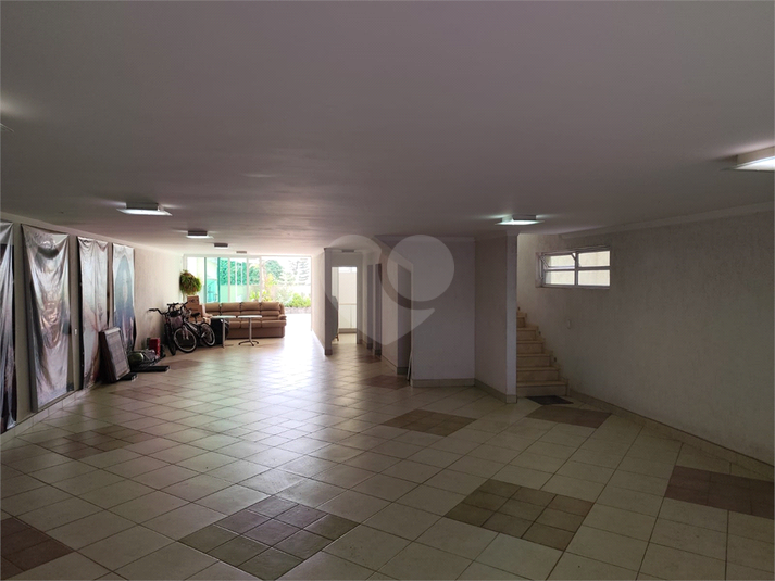 Foto REO602738