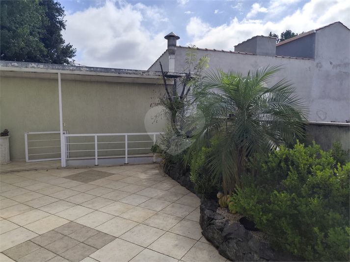 Foto REO602738