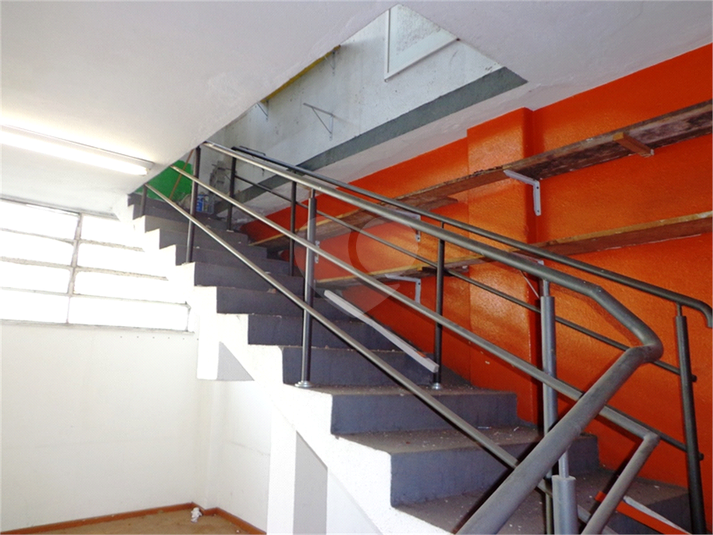 Foto REO602917