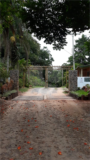 Foto REO602977
