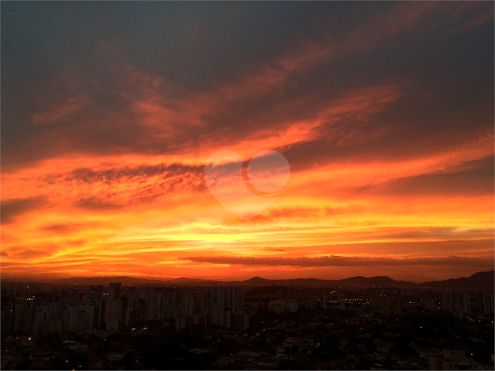 Foto REO603150