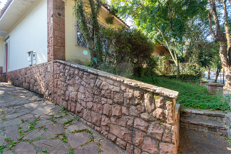 Foto REO603293