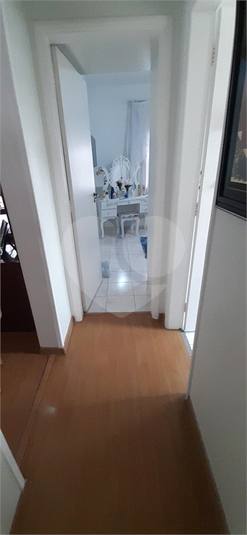 Foto REO603697