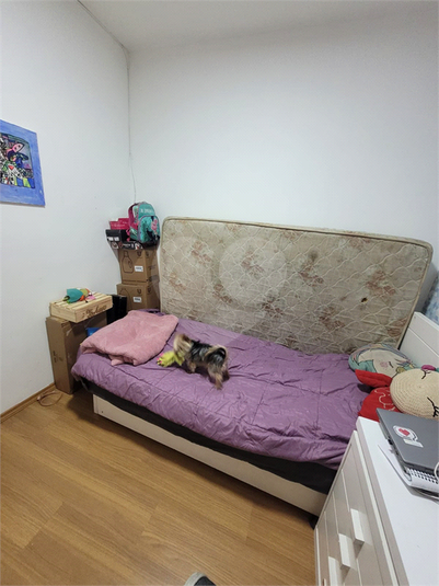 Foto REO603712