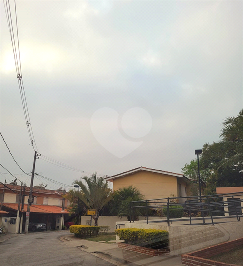 Foto REO603712