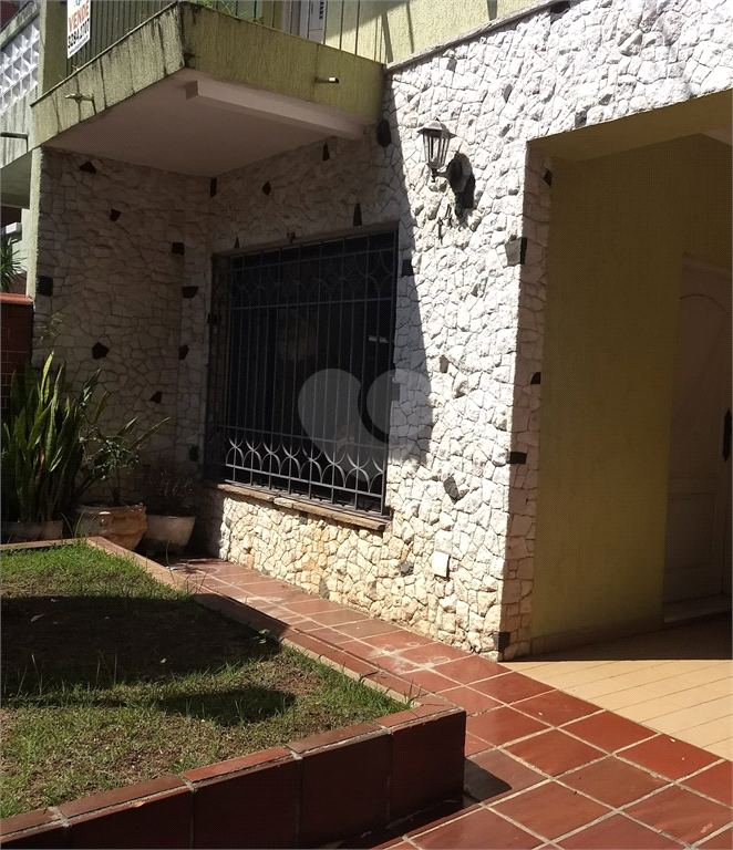 Foto REO604249