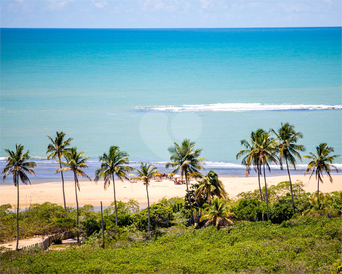 Venda Condomínio Não Definido Trancoso REO604657 8