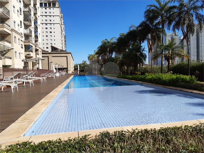 Foto REO605287