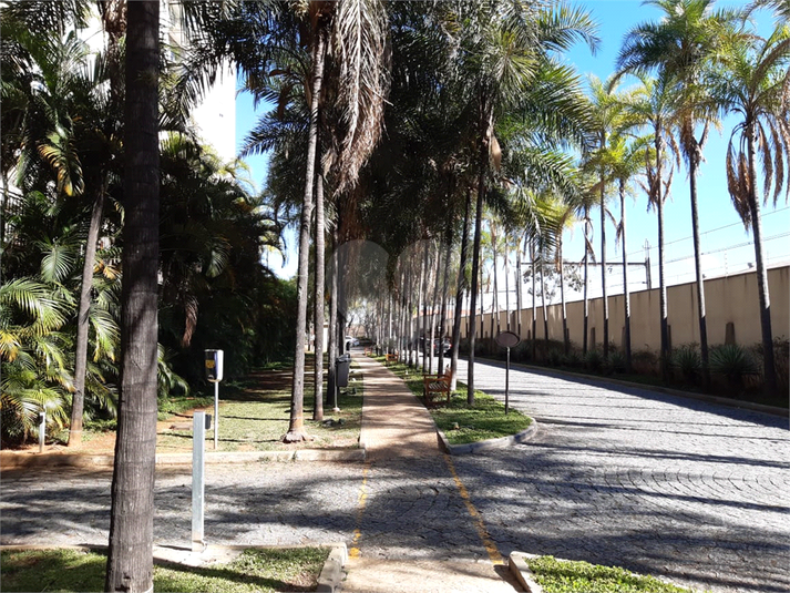 Foto REO605287