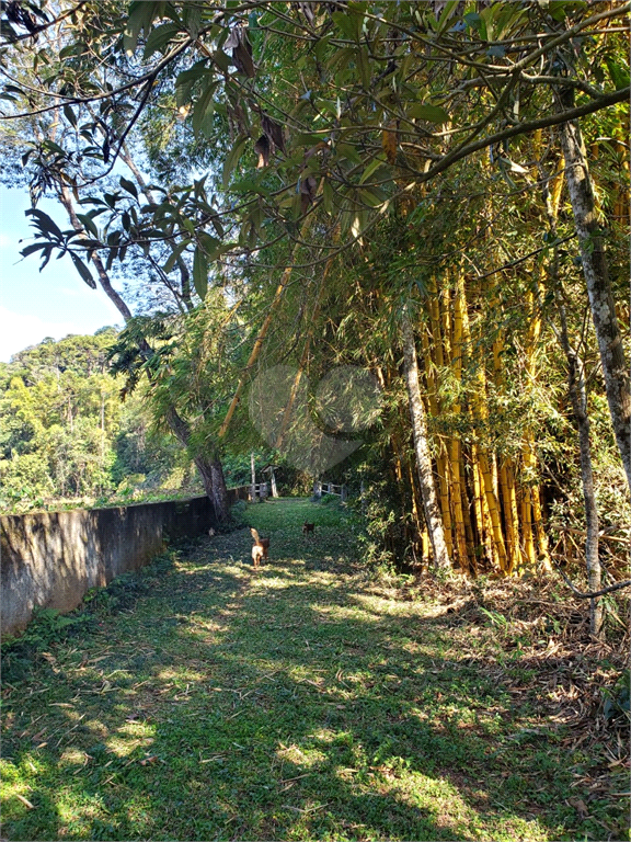 Venda Sítio Campo Limpo Paulista Moinho REO605558 12