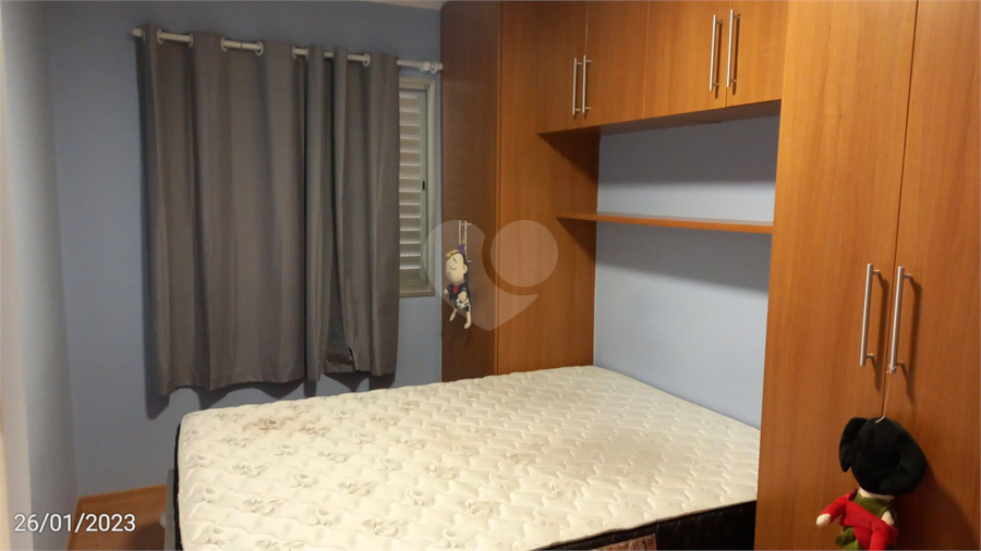 Foto REO605652