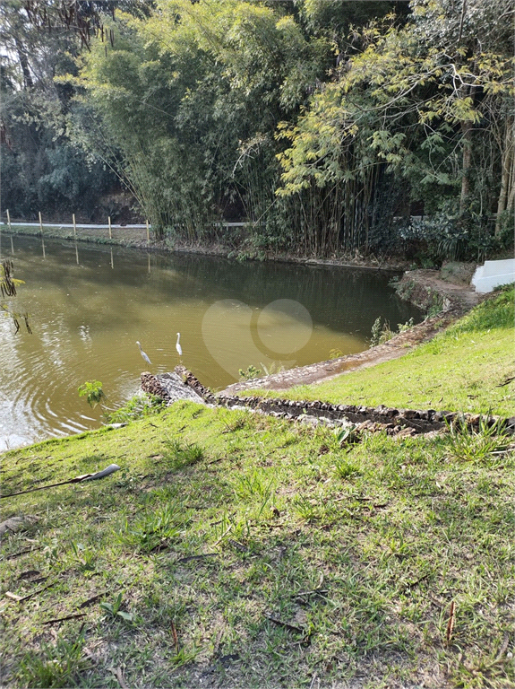 Venda Sítio Campo Limpo Paulista Pau Arcado REO605746 12