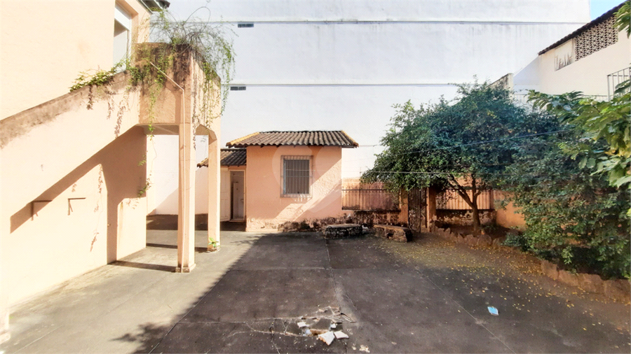Foto REO605763