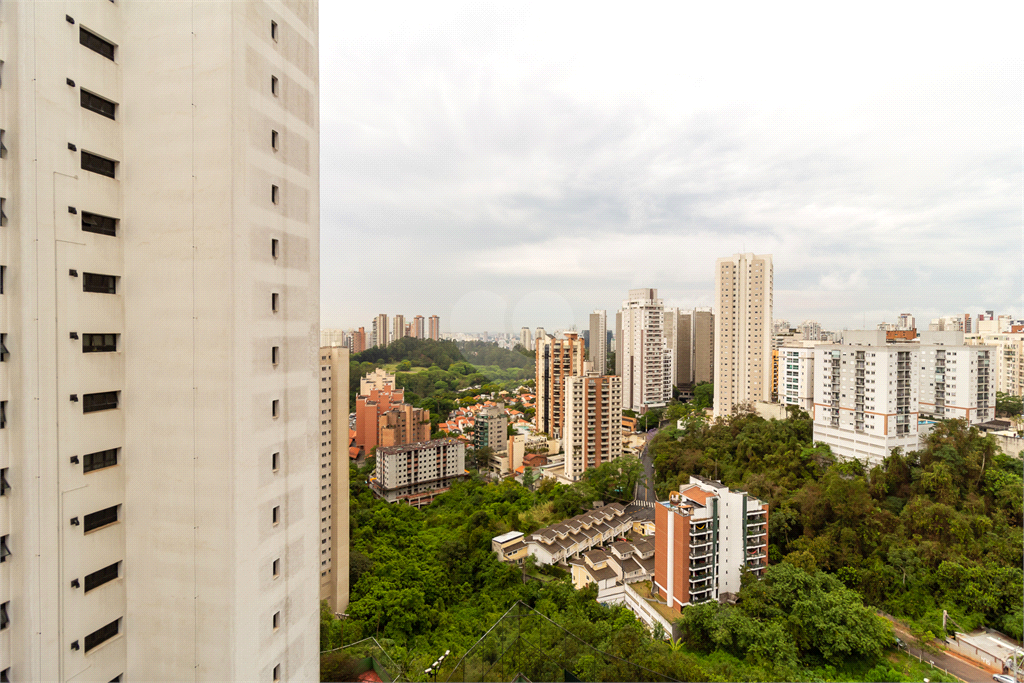 Venda Apartamento São Paulo Jardim Parque Morumbi REO606271 24