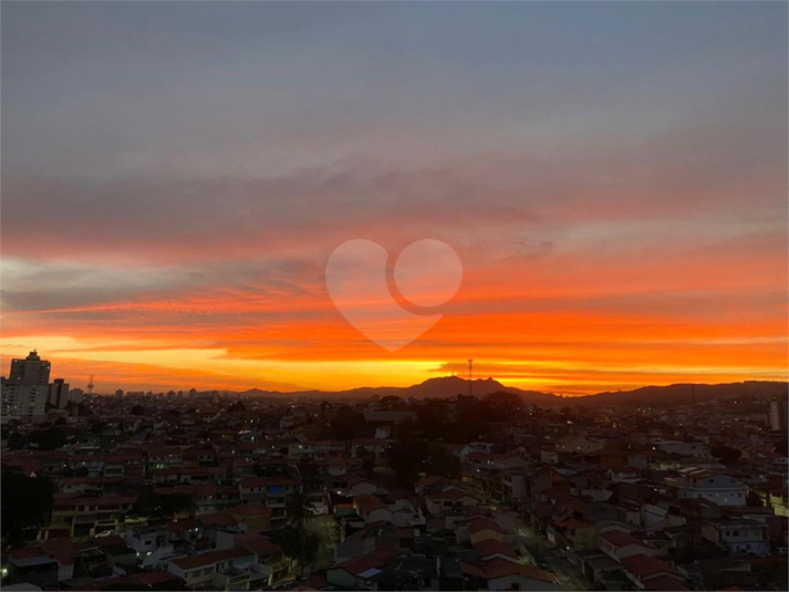 Foto REO606323