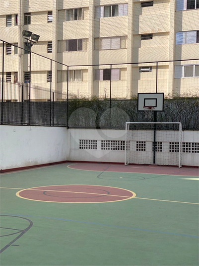 Foto REO606396