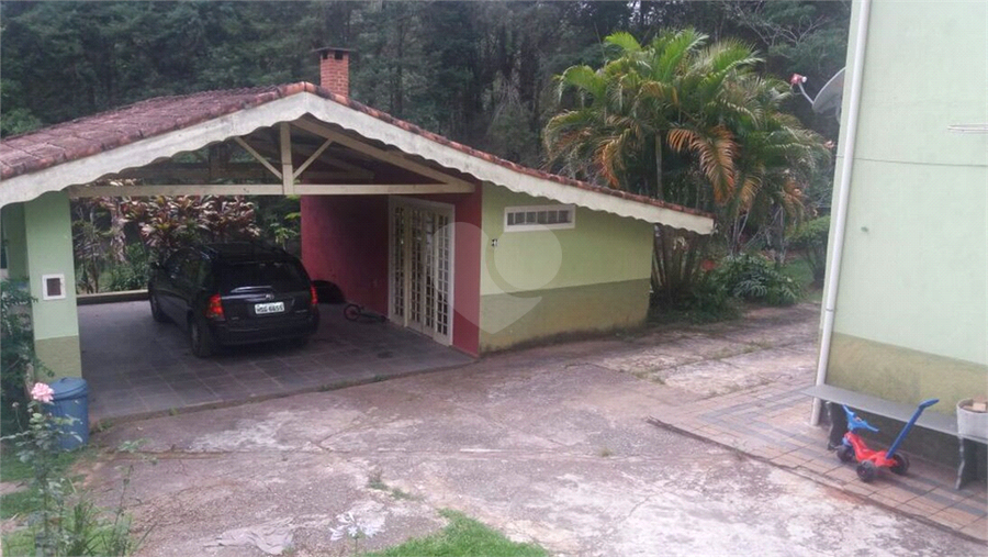 Foto REO606488