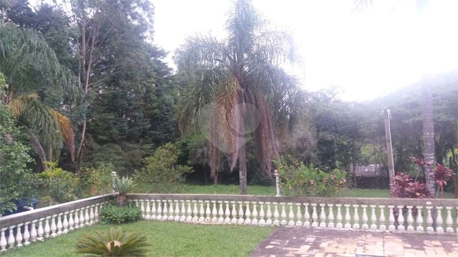 Foto REO606488