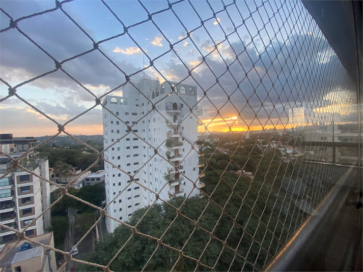 Foto REO606538