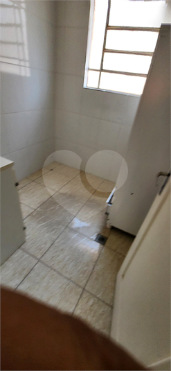 Foto REO606884