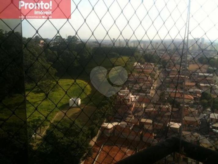 Foto REO60692