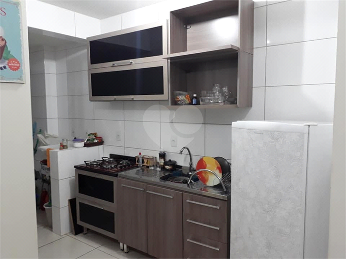 Foto REO607432