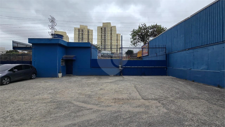 Foto REO607452