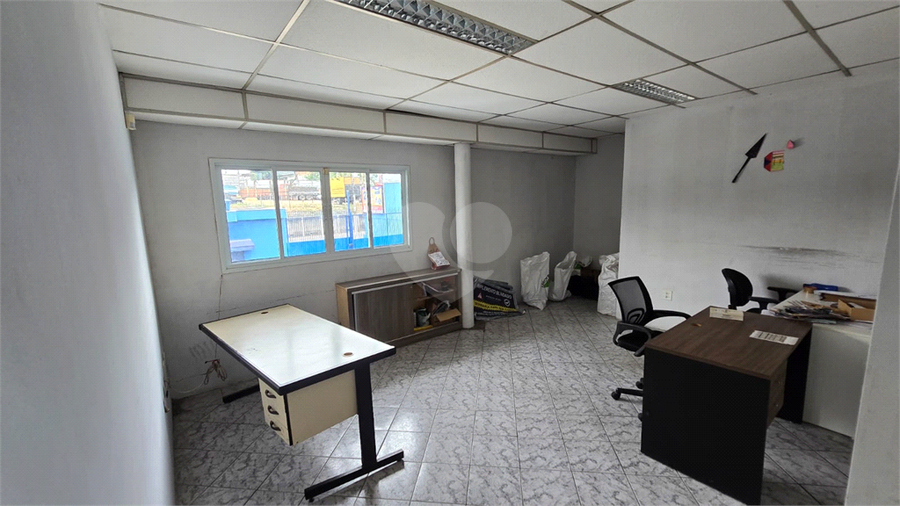 Foto REO607452