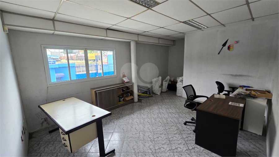 Foto REO607452