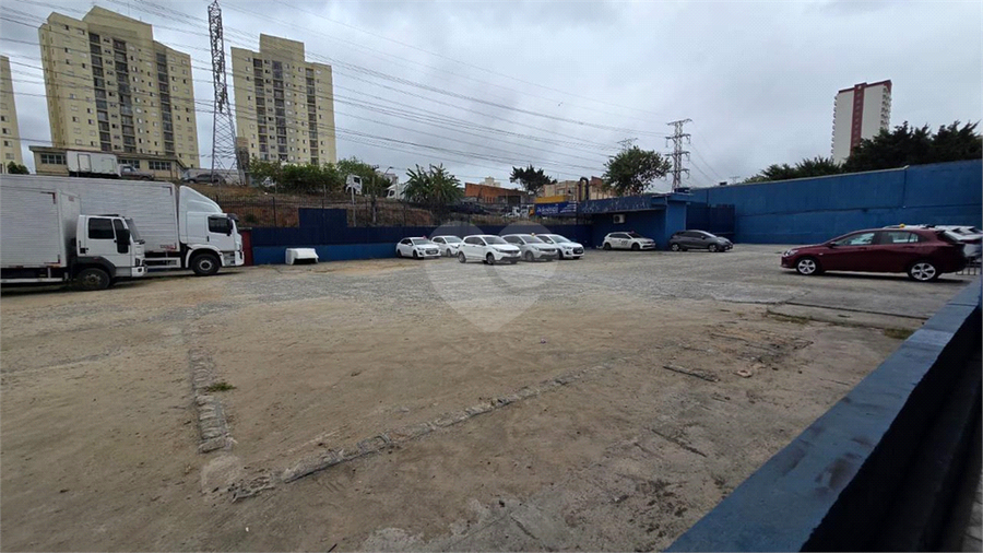 Foto REO607452