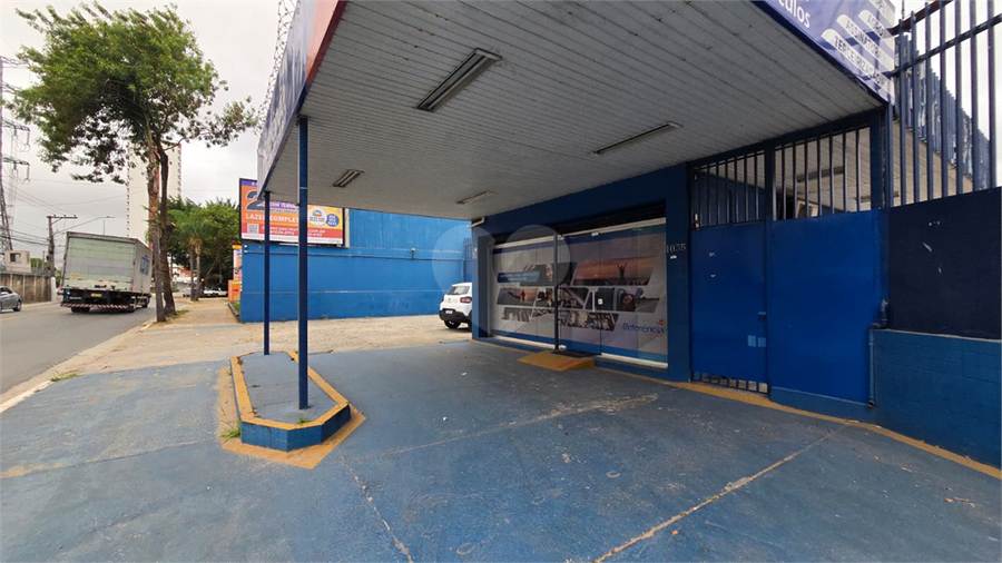 Foto REO607452