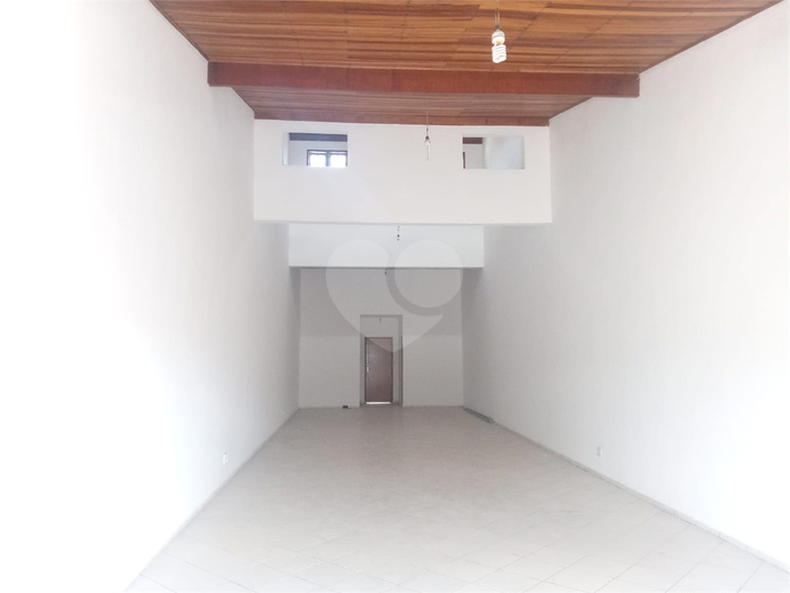 Foto REO607491