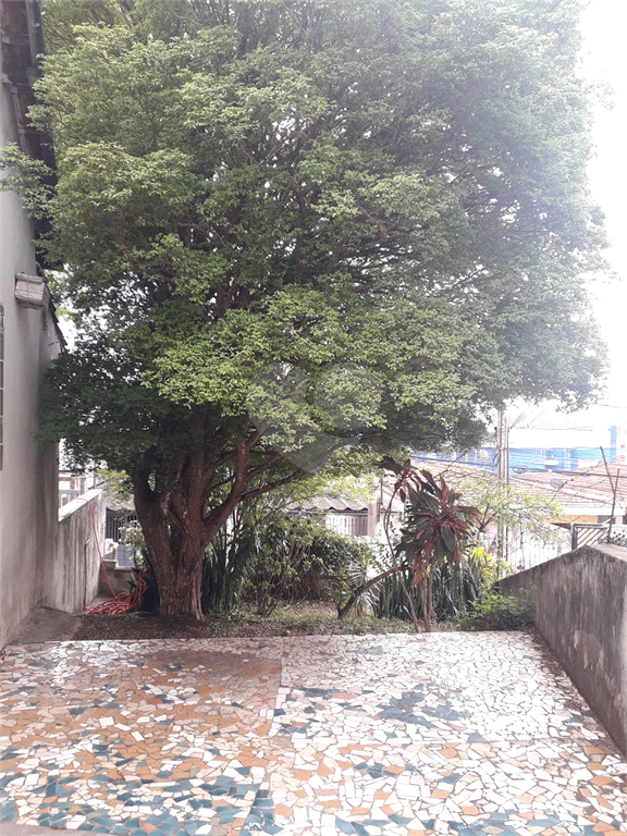 Venda Casa São Paulo Jardim Jamaica REO607745 2