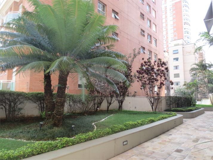 Foto REO60779