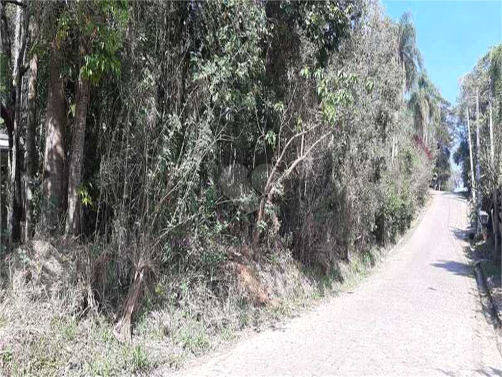 Venda Terreno Mairiporã Caraguatá REO608028 4