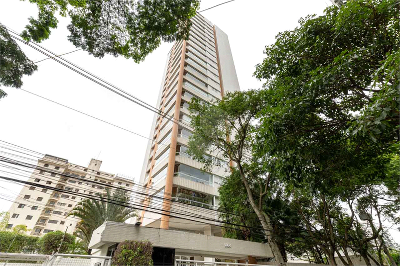 Foto REO608175