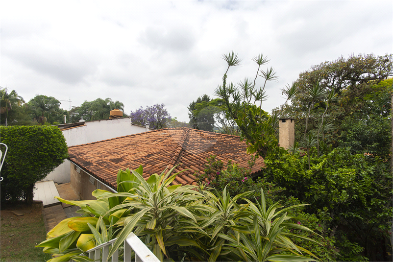 Foto REO608281