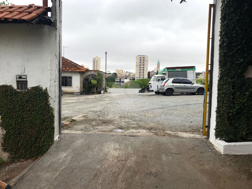 Aluguel Terreno São Paulo Vila Regente Feijó REO608483 4