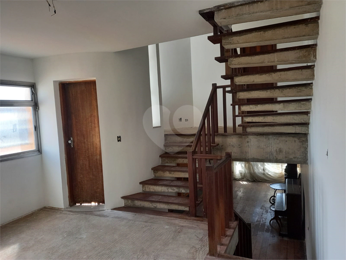 Foto REO608575