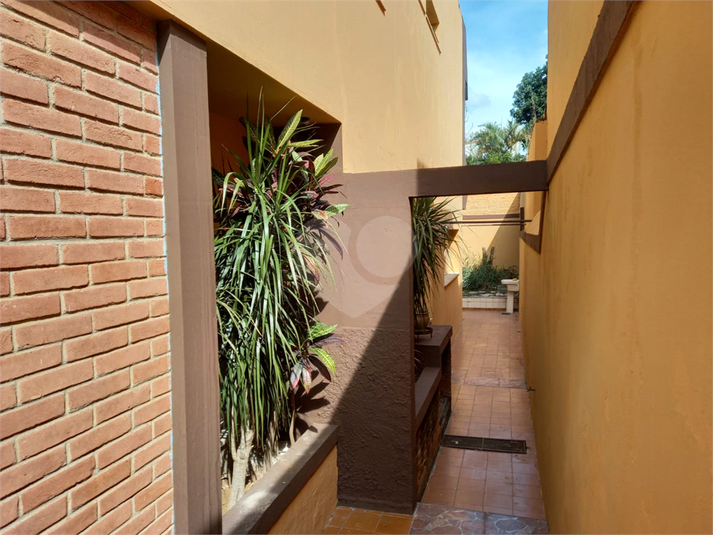 Foto REO608575