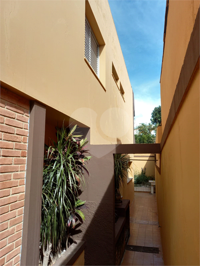 Foto REO608575